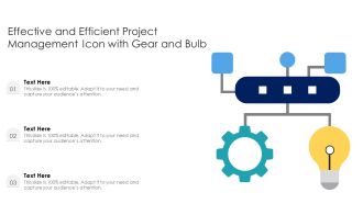 Effective And Efficient Project Management Icon With Gear And Bulb Ppt PowerPoint Presentation File Example PDF