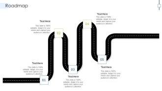 Effective Compensation Management Workforce Productivity Development Roadmap Mockup PDF