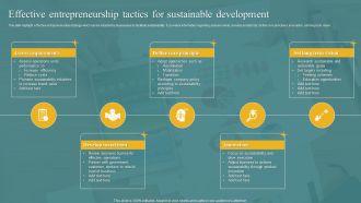 Effective Entrepreneurship Tactics For Sustainable Development Icons PDF