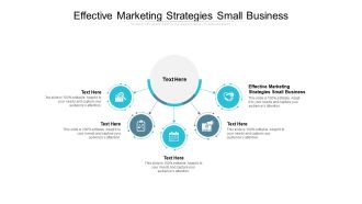 Effective Marketing Strategies Small Business Ppt PowerPoint Presentation Inspiration Example Introduction Cpb