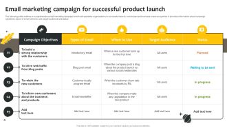 Effective Online And Offline Promotional Email Marketing Campaign For Successful Pictures PDF