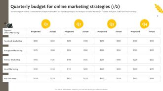 Effective Online And Offline Promotional Quarterly Budget For Online Marketing Strategies Information PDF