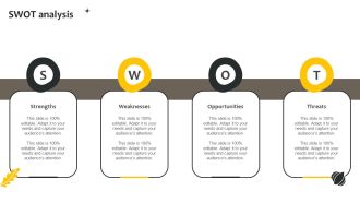 Effective Online And Offline Promotional SWOT Analysis Ppt Pictures Guide PDF
