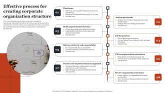 Effective Process For Creating Corporate Organization Structure Guidelines PDF