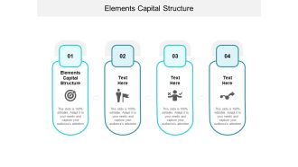 Elements Capital Structure Ppt PowerPoint Presentation Infographic Template Design Inspiration Cpb