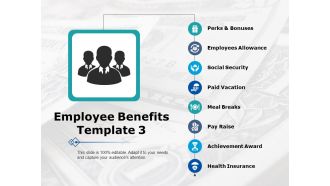 Employee Benefits Perks And Bonuses Ppt PowerPoint Presentation Model Master Slide