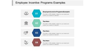 Employee Incentive Programs Examples Ppt PowerPoint Presentation Show Graphics Pictures Cpb