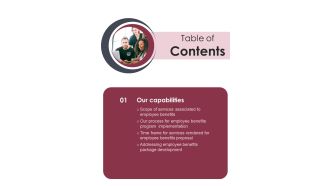 Employee Perk Administration Proposal Table Of Contents One Pager Sample Example Document