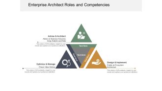Enterprise Architect Roles And Competencies Ppt Powerpoint Presentation Icon Background Image