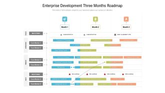 Enterprise Development Three Months Roadmap Brochure