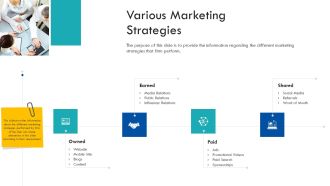 Enterprise Handbook Various Marketing Strategies Ppt Ideas Example Introduction PDF