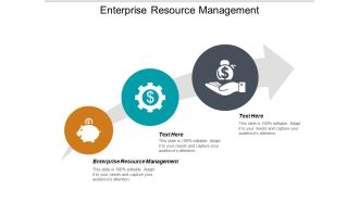 Enterprise Resource Management Ppt PowerPoint Presentation Ideas Infographic Template Cpb