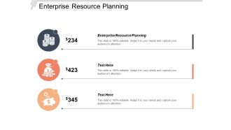 Enterprise Resource Planning Ppt PowerPoint Presentation Model Examples Cpb