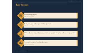 Enterprise Review Key Issues Ppt Pictures Example Topics PDF