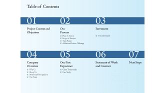 Enterprise Software Development Service Table Of Contents Download PDF