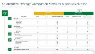 Environmental Examination Tools And Approaches Quantitative Strategy Comparison Matrix Summary PDF