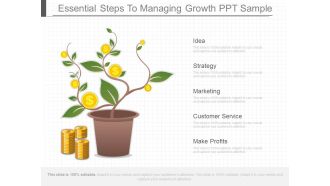 Essential Steps To Managing Growth Ppt Sample