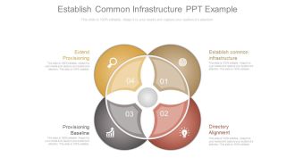 Establish Common Infrastructure Ppt Example