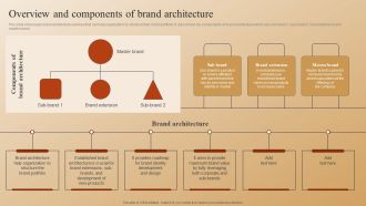 Establishing A Brand Identity For Organizations With Several Brands Overview And Components Of Brand Architecture Pictures PDF