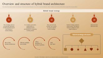 Establishing A Brand Identity For Organizations With Several Brands Overview And Structure Of Hybrid Brand Architecture Guidelines PDF