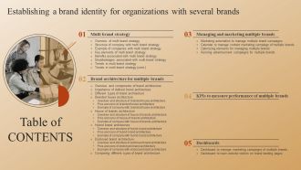 Establishing A Brand Identity For Organizations With Several Brands Table Of Contents Background PDF