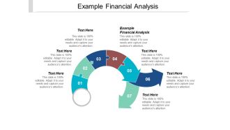 Example Financial Analysis Ppt Powerpoint Presentation Layouts Mockup Cpb