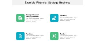 Example Financial Strategy Business Ppt PowerPoint Presentation Portfolio Picture Cpb