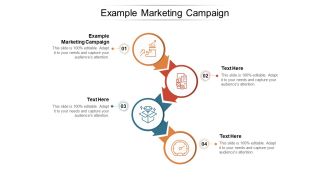 Example Marketing Campaign Ppt PowerPoint Presentation Icon Graphic Images Cpb Pdf