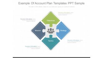 Example Of Account Plan Templates Ppt Sample