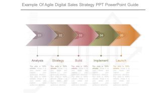 Example Of Agile Digital Sales Strategy Ppt Powerpoint Guide