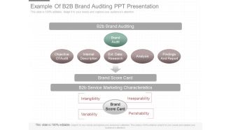 Example Of B2b Brand Auditing Ppt Presentation