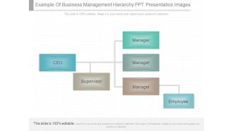 Example Of Business Management Hierarchy Ppt Presentation Images