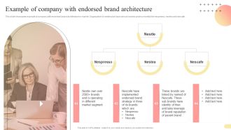 Example Of Company With Endorsed Brand Architecture Multi Branding Approaches For Different Designs PDF