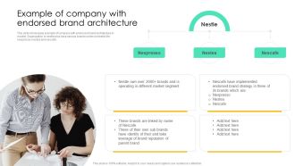 Example Of Company With Endorsed Brand Architecture Template PDF