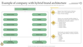 Example Of Company With Hybrid Brand Architecture Ppt PowerPoint Presentation File Styles PDF
