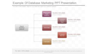 Example Of Database Marketing Ppt Presentation