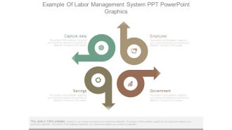 Example Of Labor Management System Ppt Powerpoint Graphics