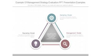 Example Of Management Strategy Evaluation Ppt Presentation Examples