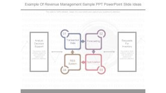 Example Of Revenue Management Sample Ppt Powerpoint Slide Ideas