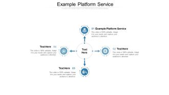 Example Platform Service Ppt PowerPoint Presentation Infographics Images Cpb