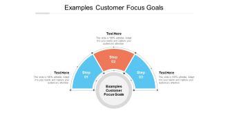 Examples Customer Focus Goals Ppt PowerPoint Presentation Show Tips Cpb