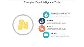 Examples Data Intelligence Tools Ppt PowerPoint Presentation Gallery Styles Cpb