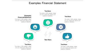 Examples Financial Statement Ppt PowerPoint Presentation Infographics Professional