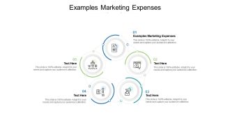 Examples Marketing Expenses Ppt PowerPoint Presentation Pictures Example Introduction Cpb