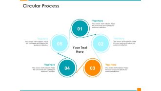 Executing Organization Commodity Strategy Circular Process Portrait PDF