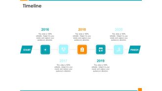 Executing Organization Commodity Strategy Timeline Sample PDF