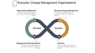 Executive Change Management Organizational Behaviour Management Training Systems Ppt PowerPoint Presentation Slides Format Ideas