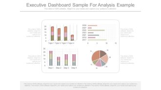 Executive Dashboard Sample For Analysis Example