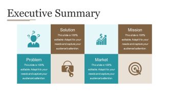 Executive Summary Ppt PowerPoint Presentation Ideas Elements