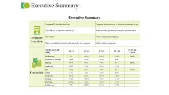 Executive Summary Ppt PowerPoint Presentation Portfolio Maker
